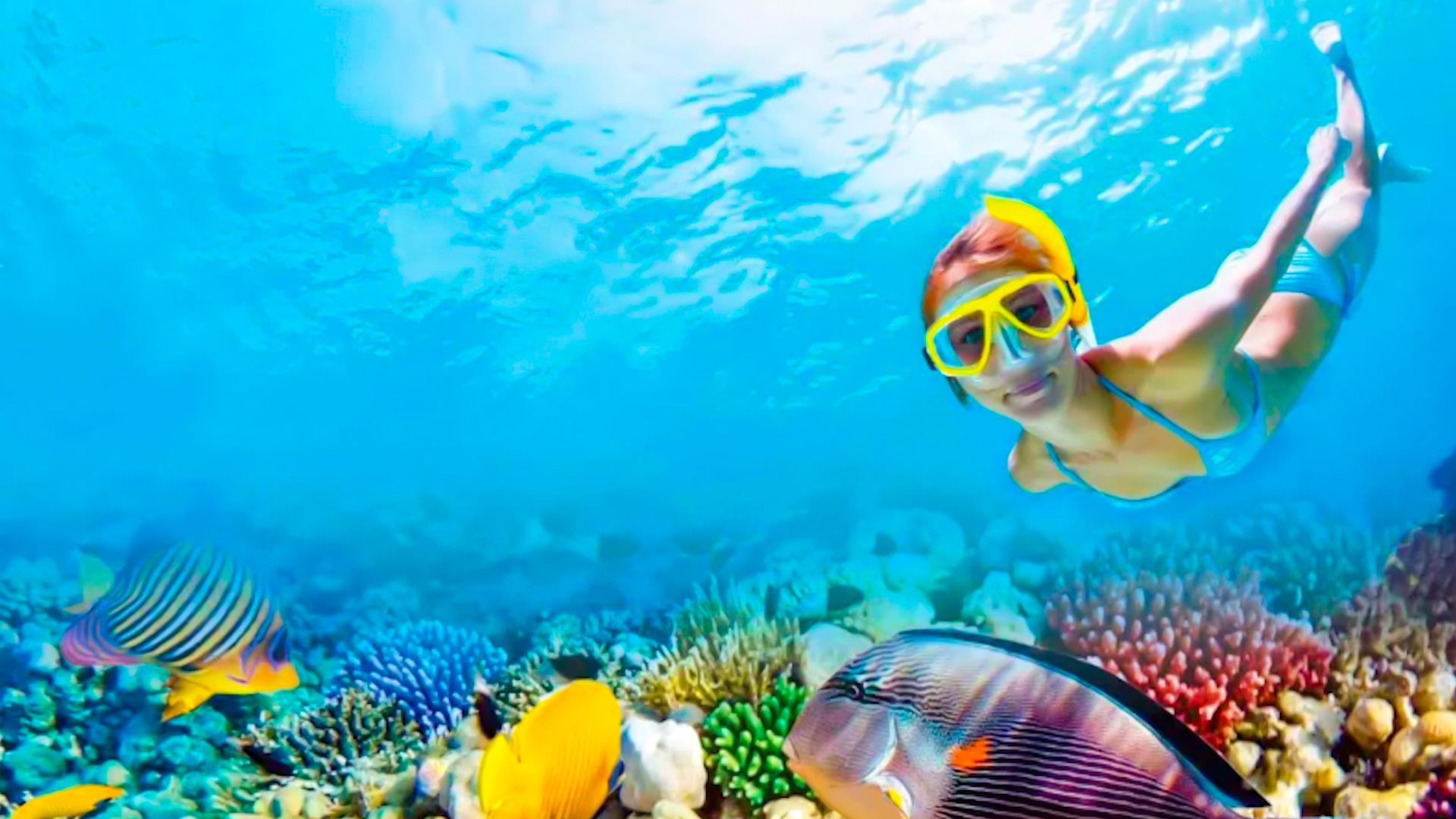 Snorkeling in Isla Mujeres